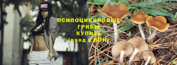 MDMA Premium VHQ Карпинск