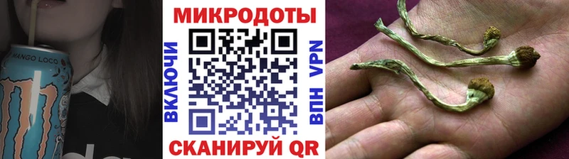 Псилоцибиновые грибы Magic Shrooms  Купить закладки  Карачев 
